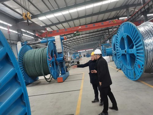 落實(shí)安全巡查 維護(hù)生產(chǎn)環(huán)境 河南華東電纜董事長陳劍平深入制造中心指導(dǎo)電線電纜技術(shù)開發(fā)工作